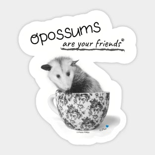 Opossums Are Your Friends Sticker